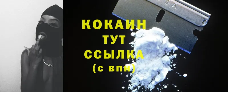 закладки  Глазов  mega как войти  Cocaine Fish Scale 