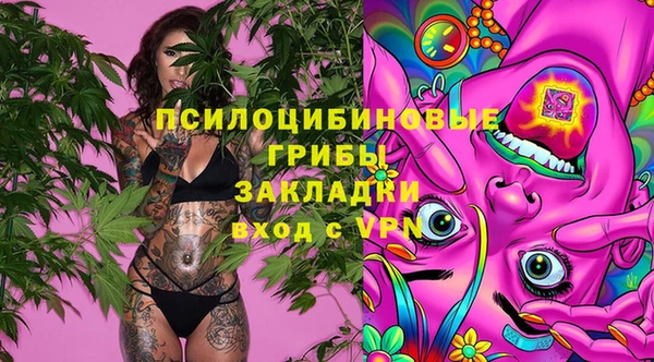 меф Алексин
