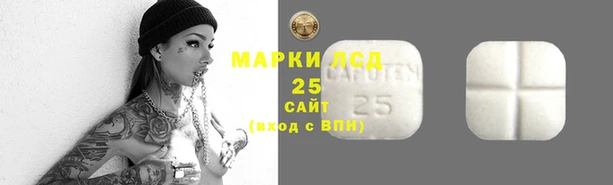 гидра Красноперекопск