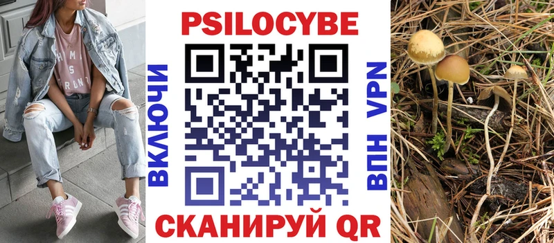 Псилоцибиновые грибы мицелий  Глазов 