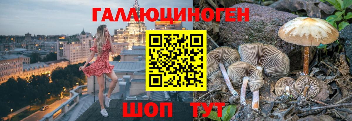 Глазов  Псилоцибиновые грибы GOLDEN TEACHER  Вход с VPN  где найти наркотики  Галлюциногенные грибы ЛСД 
